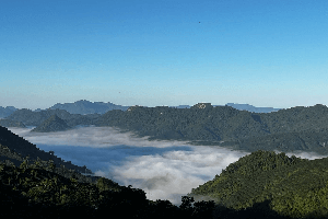 普洱茶區——老烏山